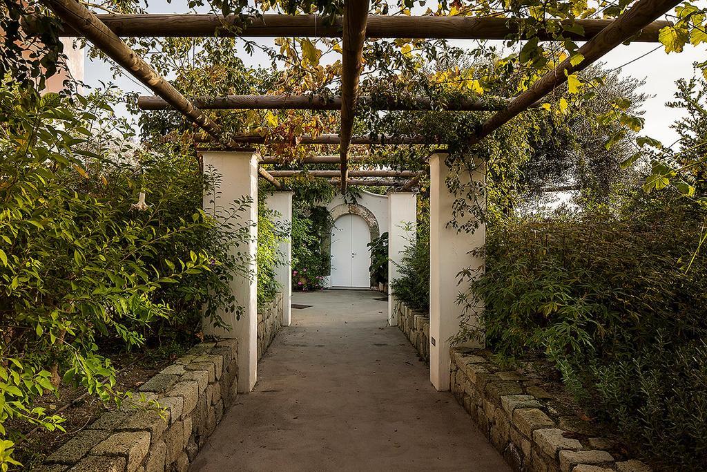 Tenuta Del Poggio Antico Forio di Ischia Eksteriør billede