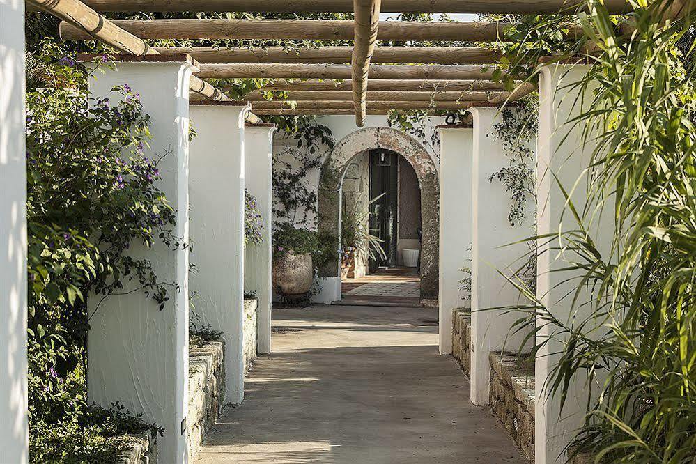 Tenuta Del Poggio Antico Forio di Ischia Eksteriør billede