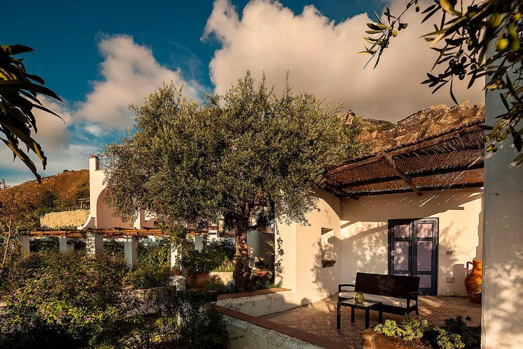 Tenuta Del Poggio Antico Forio di Ischia Værelse billede